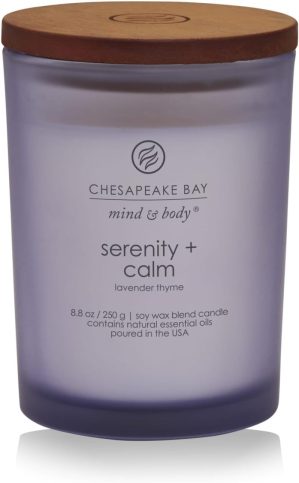 Chesapeake Bay Candle Medium Jar Sc...