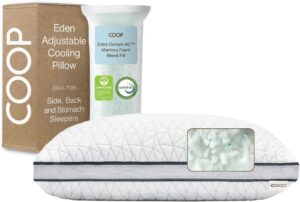 Coop Home Goods Eden Bed Pillow Que...