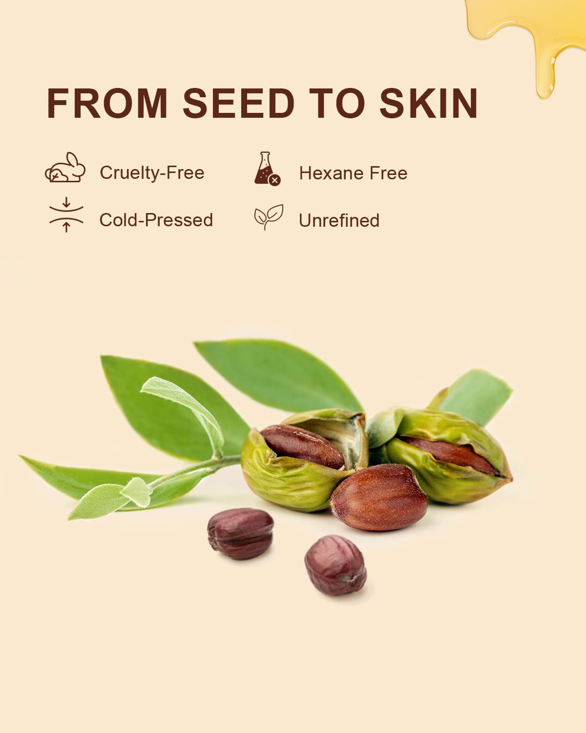 Yoken Organic Jojoba Oil 8oz, USDA Certified Pure for Hair, Skin Care | Gua Sha Oil Cold Pressed 8 Fl Oz 100 Pure Natural Unrefined Hexane Free For Face Hair Skin Massage DIY - Image 4