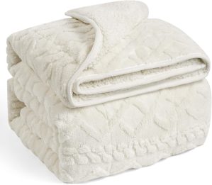 Weighted Blanket for Adults Twin Si...