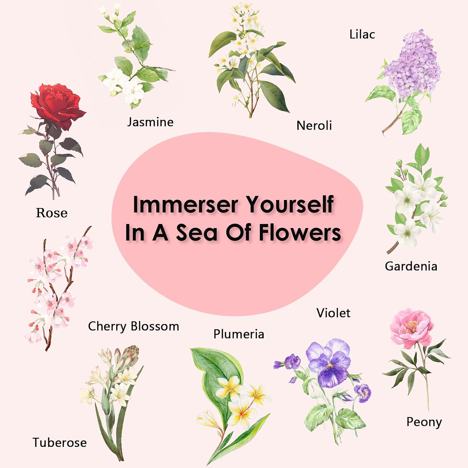 Floral Essential Oils, INWICOPH Flower Fragrance Oil for Candle Making - Rose, Jasmine, Gardenia, Lilac, Plumeria, Peony and More, Aromatherapy Oils for Diffusers for Home - Image 3