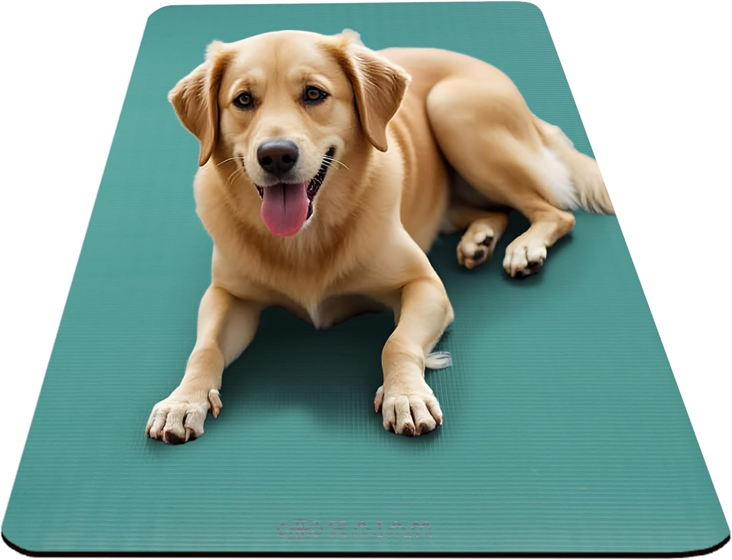 Gaiam Thick Yoga Mat, Exercise & Fitness Mat with Easy-Cinch Carrying Strap | Non-Slip NBR Foam | Joint Cushioning | Yoga, Pilates, Fitness & Floor Workouts | 72"L x 24"W - Image 7