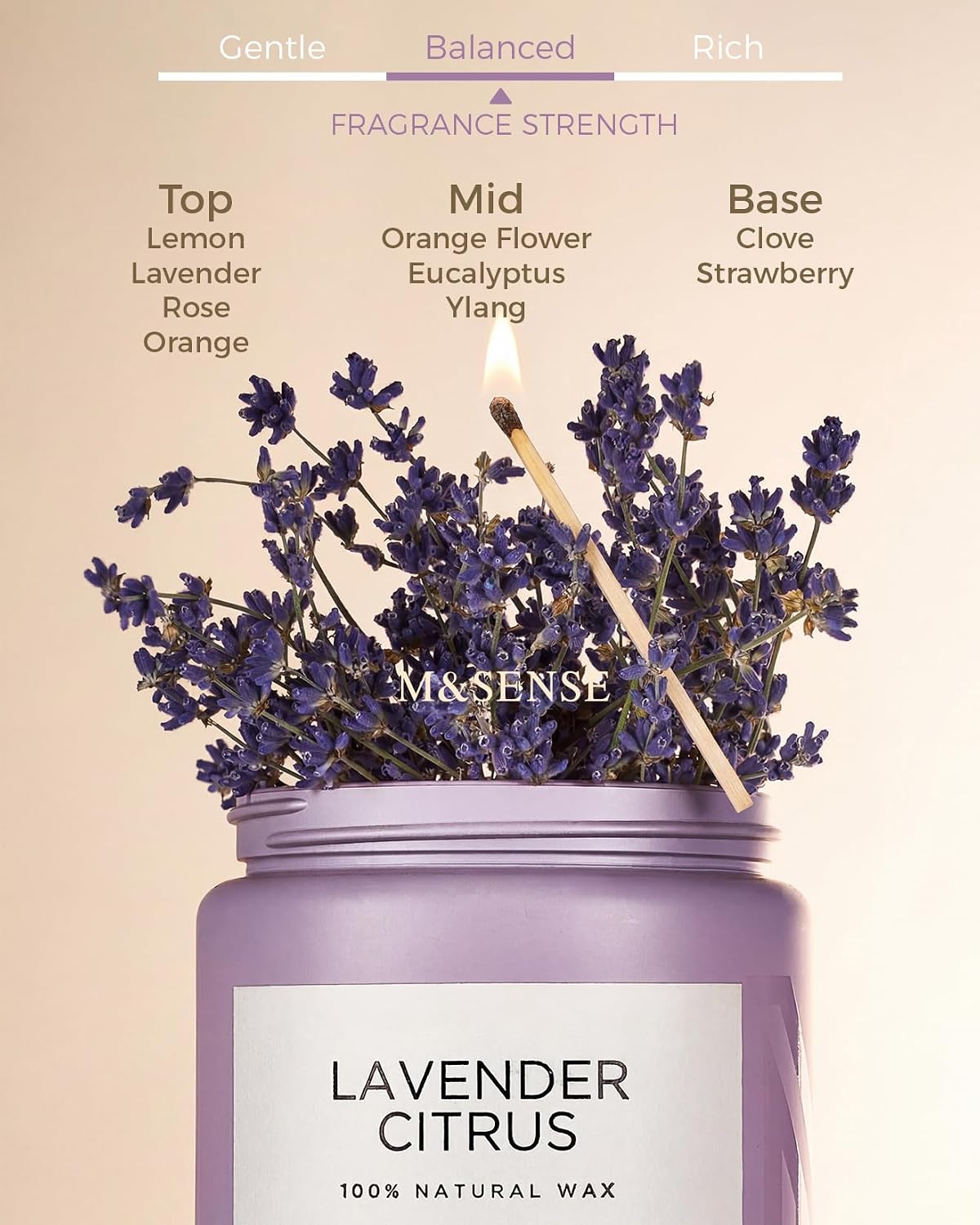 M&SENSE Lavender Citrus Candles for Home Scented, 19.4oz Organic Soy Wax | 110 Hours Long Lasting, Natural Clean Non Toxic, Stress Relief Aromatherapy Gifts for Friends Teacher & Spa Bath - Image 2
