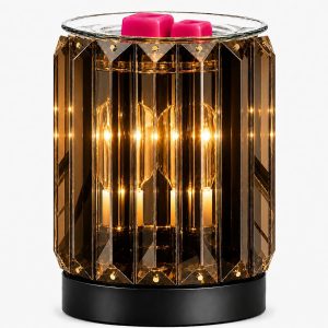 Leyoue Wax Warmer, Electric Wax Mel...