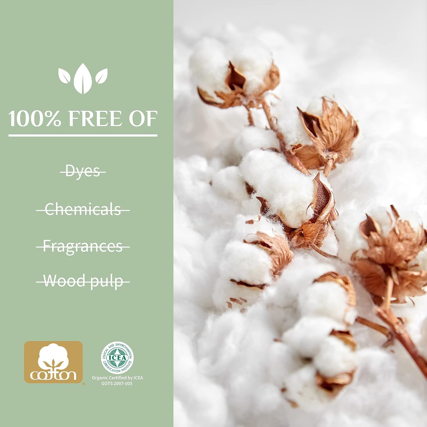 Organyc - 100% Certified Organic Cotton Feminine Pads - Heavy Flow, 10 Count (Pack of 1) (B003ART1JG) - Image 5