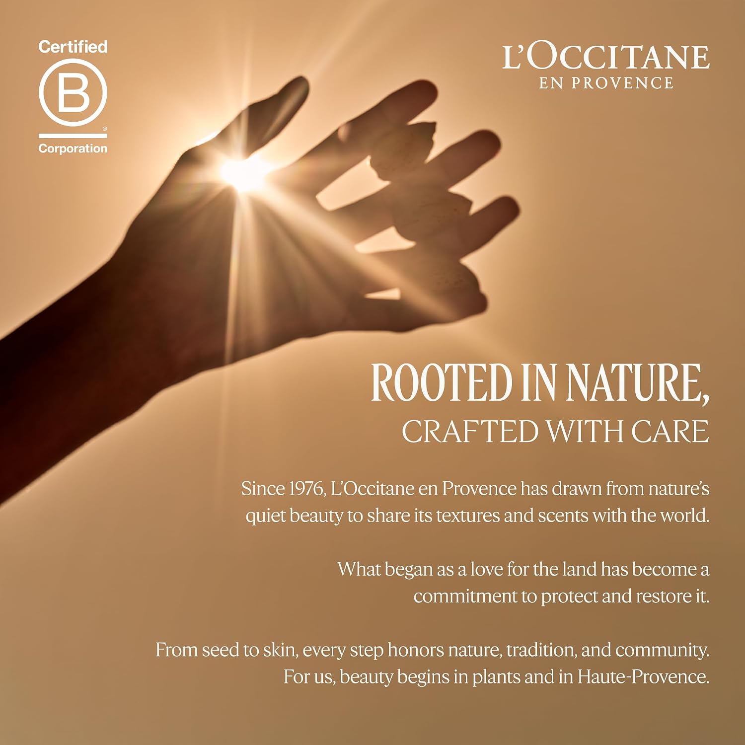 L'OCCITANE 20% Organic Shea Butter Hand Cream, Fast-Absorbing, Non-Greasy | Nourishes & protects dry, cracked hands, vegan, moisturizes & softens skin, daily use, giftable, skincare essential, luxury - Image 11