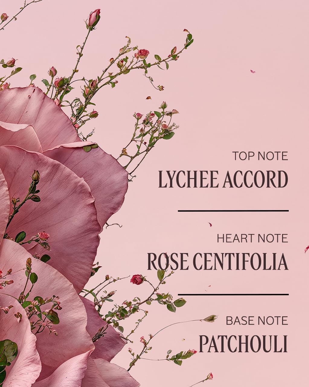 L'OCCITANE Moisturizing Verbena Cooling Hand Cream Gel Enriched with Verbena Extract - Image 4