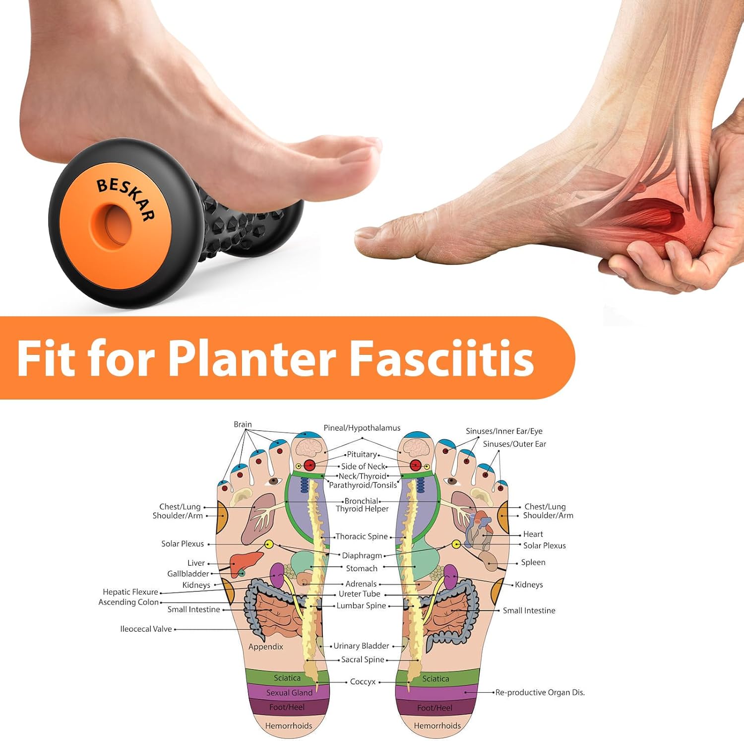 BESKAR Foot Massager Roller for Plantar Fasciitis Relief | Portable Foot Roller to Deep Tissue Muscle Massage, Foot Arch and Heel Pain, Foot Trigger Point Therapy, Reflexology Tool - Image 3