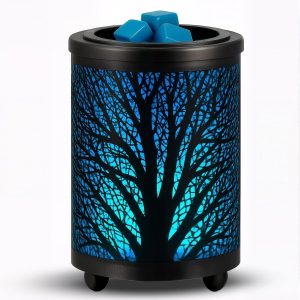 Leyoue Electric Wax Melt Warmer PTC...