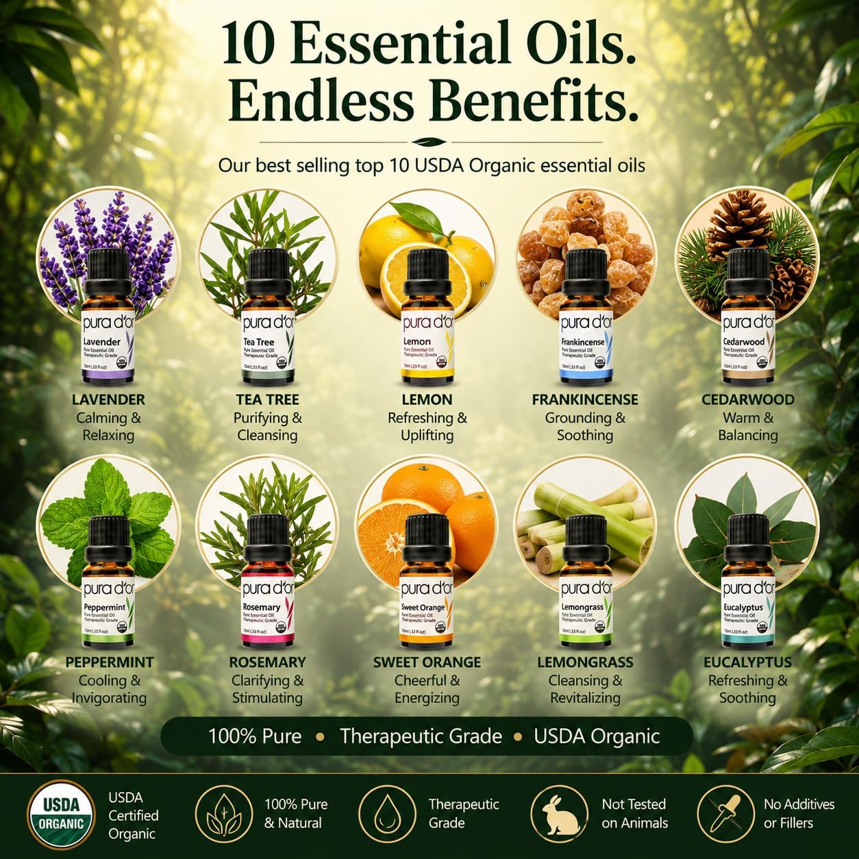 PURA D'OR Organic Perfect10 Essential Oils Aromatherapy Box Set, 10mL x10 | Diffuser Blends, Gift-Ready Wood Case, USDA Certified, 100% Pure, Massage, DIY Beauty, Home Fragrance, Relaxation Routine - Image 3