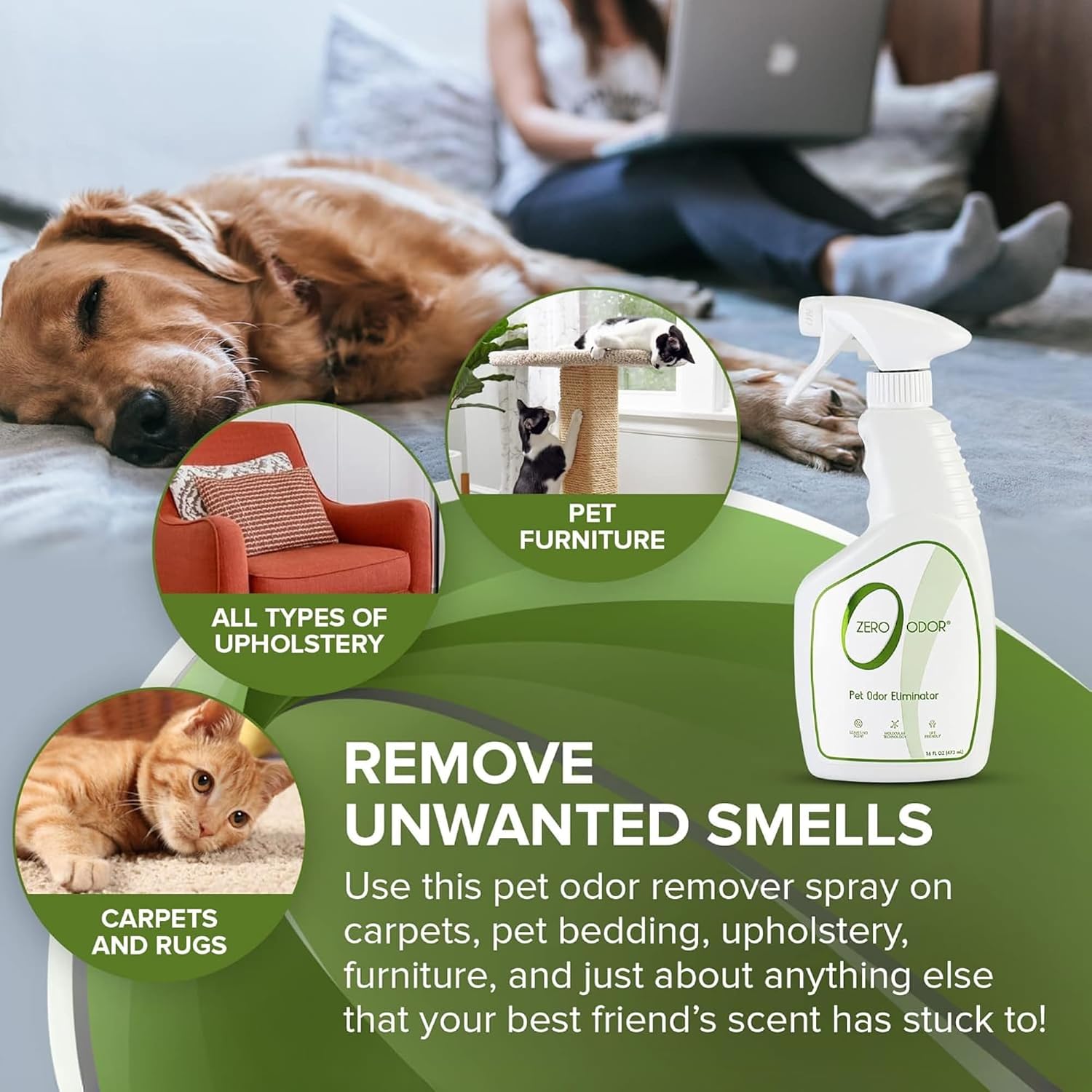 Zero Odor Pet Odor Eliminator Spray for Dog & Cat Urine, Carpet Deodorizer | Enzyme free, Urine Smell Eliminator for Pet Beds, Litter Areas & Furniture, 16 FL OZ - Image 3