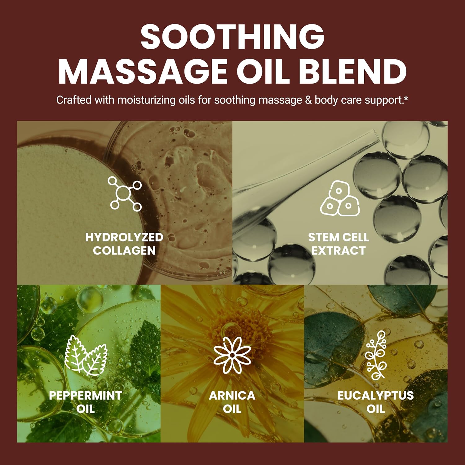 Arnica Massage Oil for Sore Muscles with Collagen, Stem Cells 8 fl oz by M3 | Fast-Absorbing Massage Oil for Full-Body Use, Soothes Muscles & Joints, Moisturizes Skin, Helps Smooth Skin Texture - Image 11