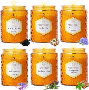 6 Pack Natural Soy Wax Jar Candles ...