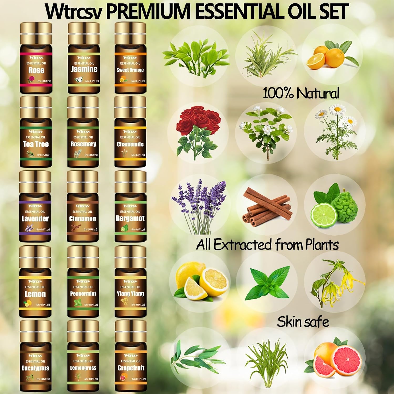 Essential Oils Set - Top 15 Scents for Diffuser, Humidifier, Skin Care, Aromatherapy, Massage, Candle & Soap Making - Fragrance Gift Set (5ml) - Image 2
