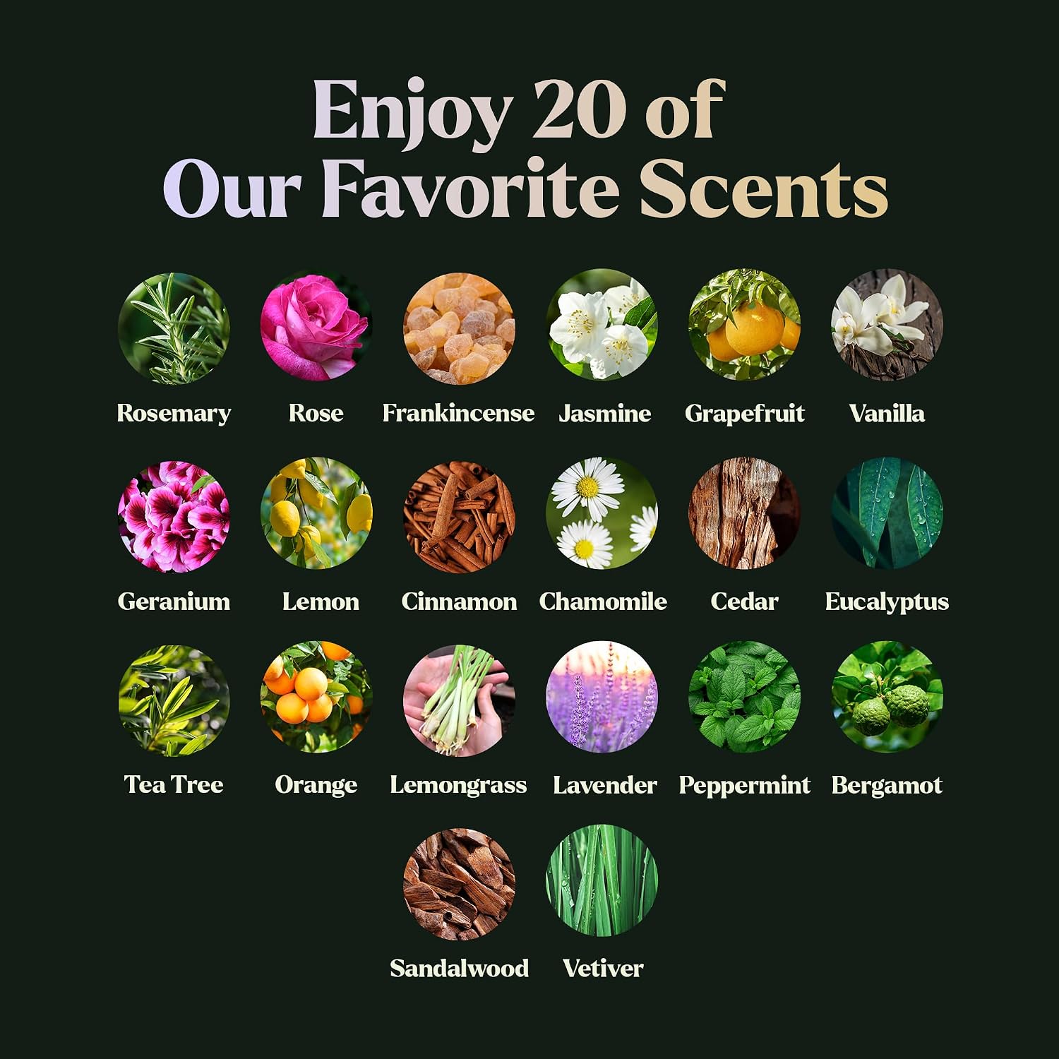 Lagunamoon Essential Oils Set, Top 20 Gift Set Oils for Diffusers, Humidifiers, Aromatherapy, Candle Making Scents, Cars & Home Products, Peppermint, Tea Tree, Lavender, Eucalyptus, Lemongrass (10mL) - Image 3