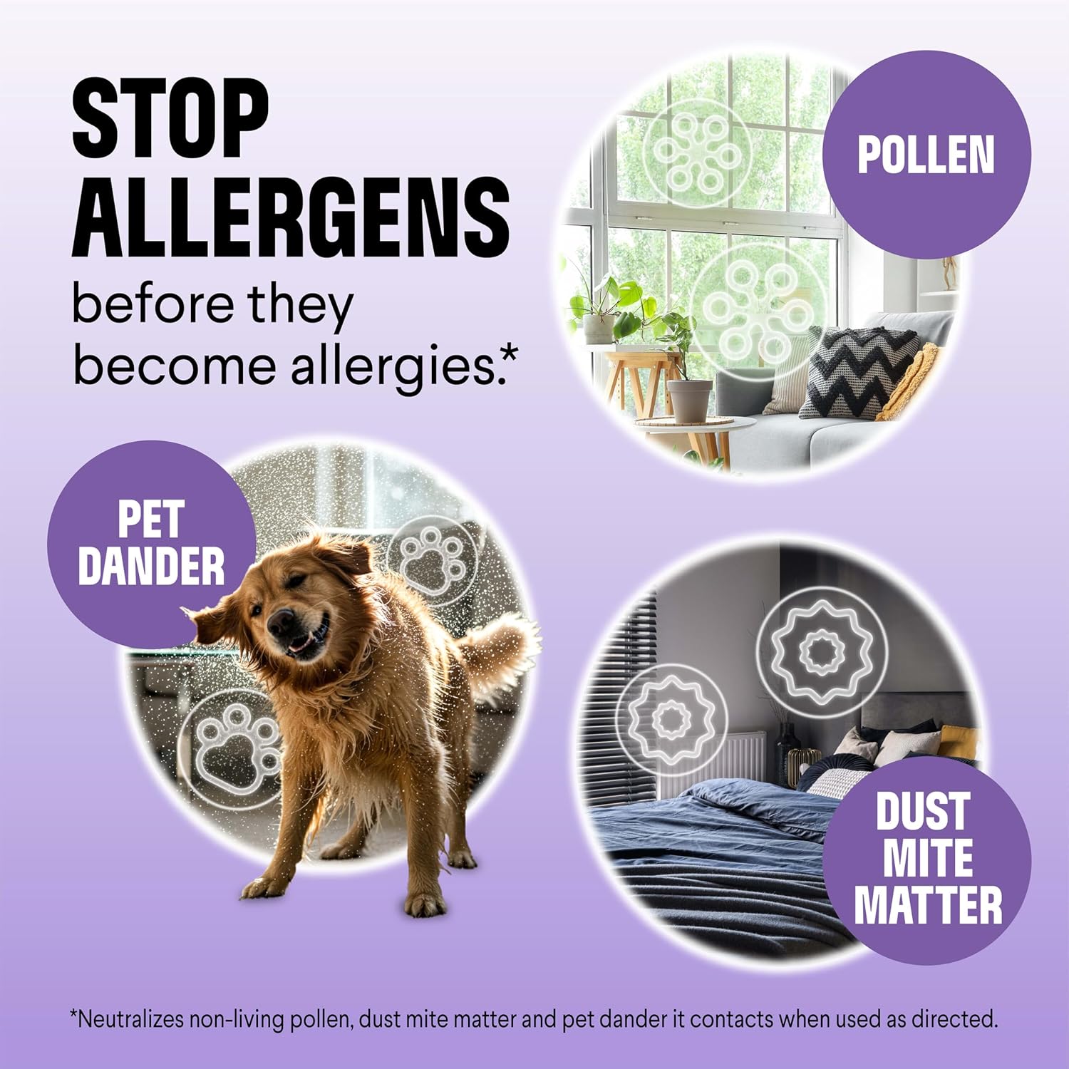 Clorox PURE Allergen Neutralizer Daily Air Spray, Nighttime Calm, 8 oz. | Air Spray for Home, Neutralizes Pet Dander, Dust Mite Matter & Pollen, Developed with Allergists, Allergen-Friendly Fragrance - Image 3