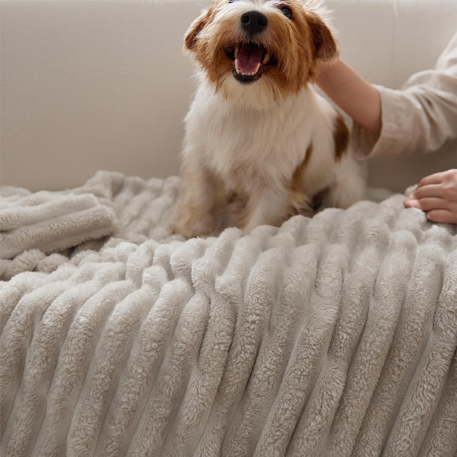 Bedsure Soft Queen Size Blanket for Bed Beige 90"x90" | Birthday Gifts for Women Mom Her, Warm Lightweight Cozy Fluffy Throw Blanket Sofa, Dorm Room Home Decor, Machine Washable - Image 8