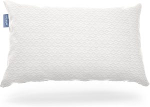 Cosy House Collection Luxury Rayon ...