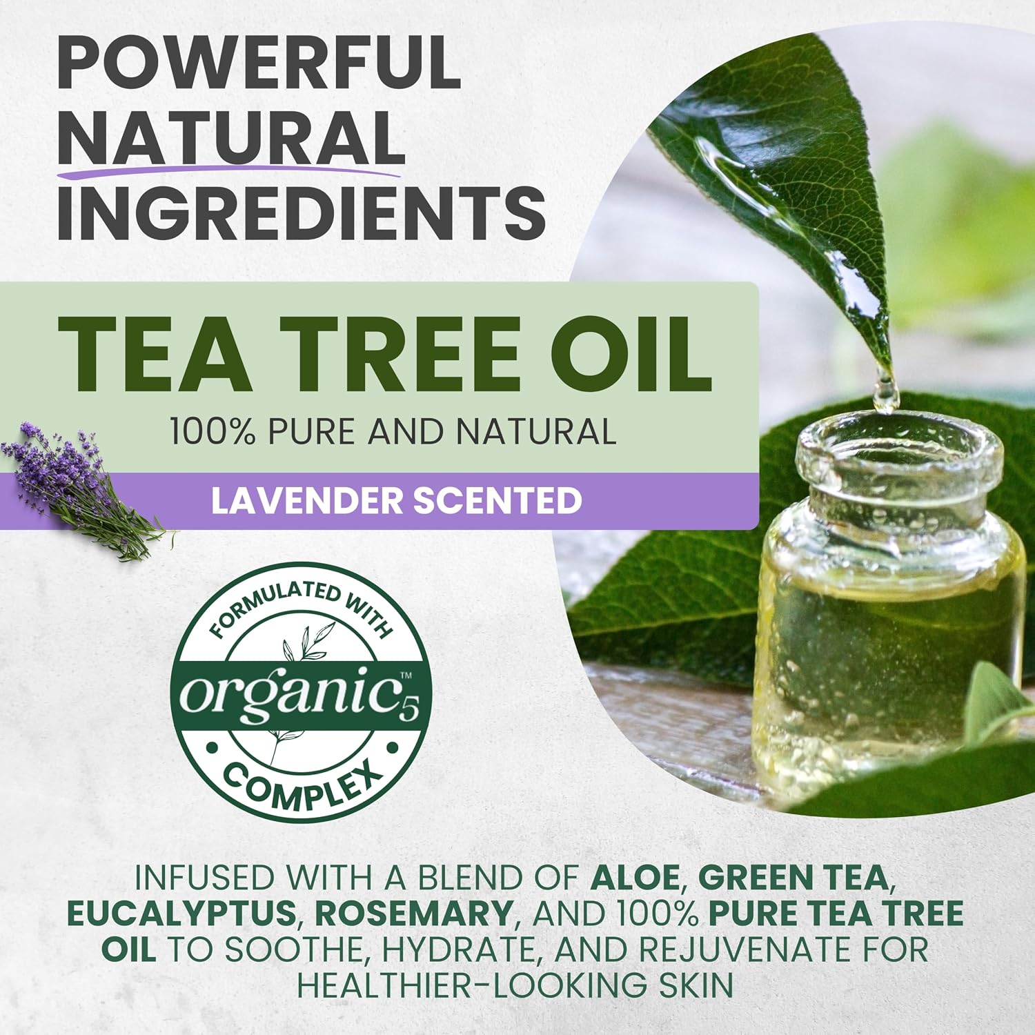 KESMEDIK Tea Tree Lavender Body Wash MaxTherapy with 100% Tea Tree Oil for Skin & Calming Lavender | Purifying Body Soap, Soothes & Refreshes Sensitive, Itchy Skin, Men & Women, 16 Fl Oz (Pack of 2) - Image 5