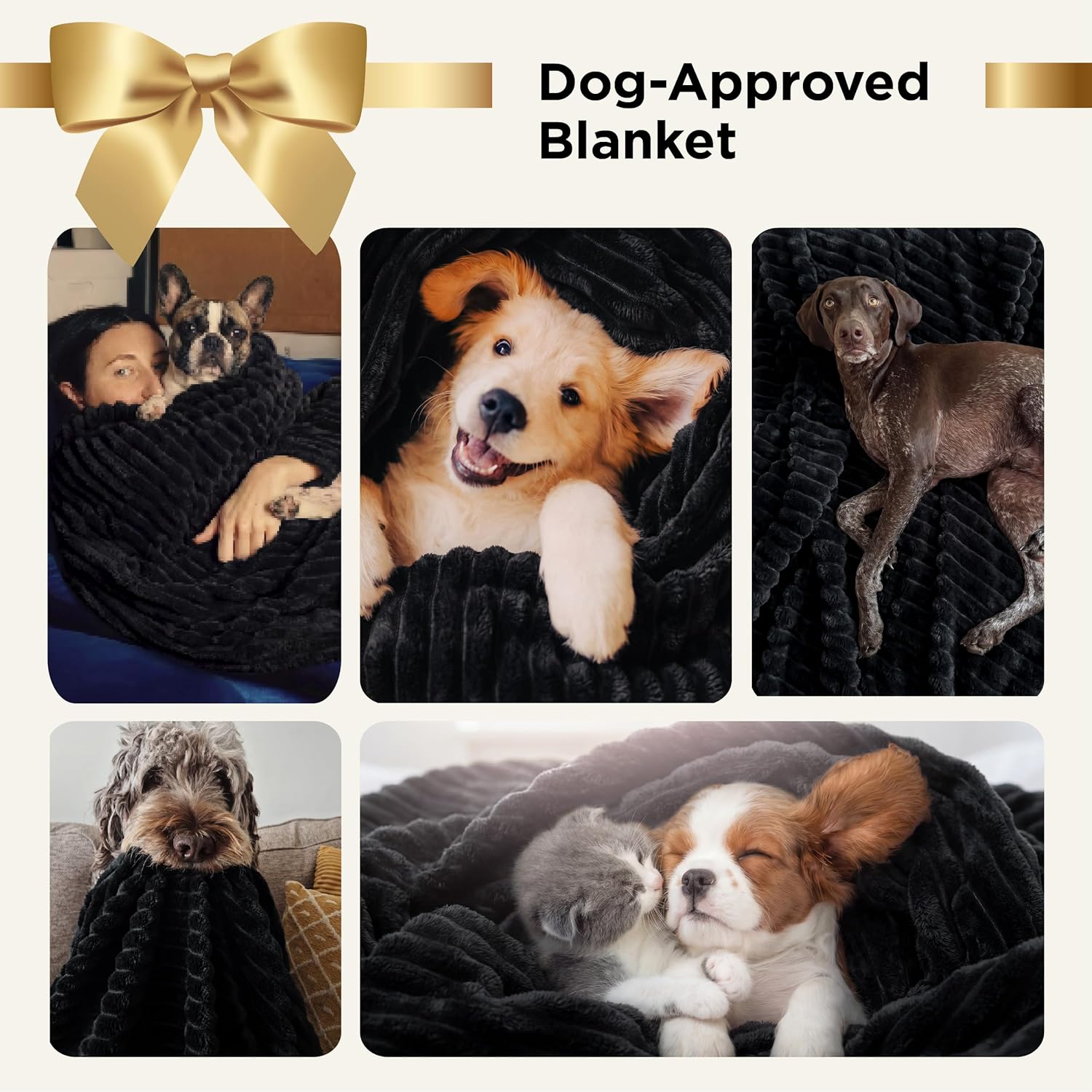 Bedsure Soft Queen Size Blanket for Bed Black 90"x90" | Birthday Gifts for Women Mom Her, Warm Lightweight Cozy Fluffy Throw Blanket Sofa, Dorm Room Home Decor, Machine Washable - Image 3
