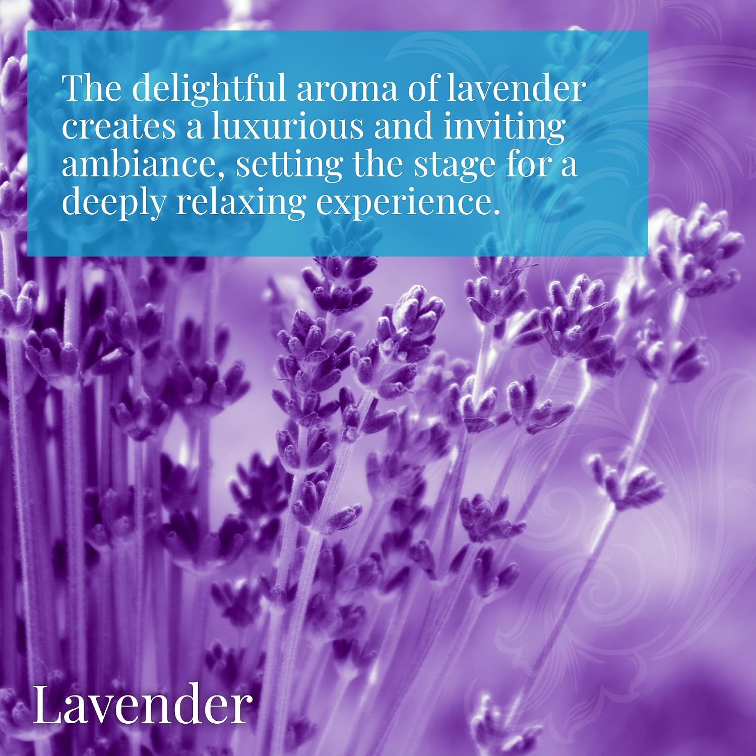 Lavender Massage Oil for Massage Therapy - 8oz | Body Oil for Stress Relief, Relaxation & Aromatherapy | Sweet Almond, Jojoba, Coconut & Grapeseed Oils - Image 4