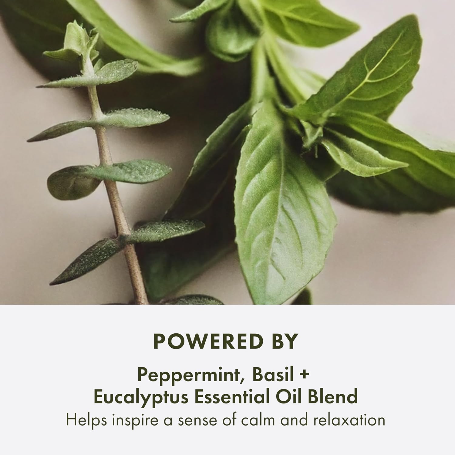 Origins Peace of Mind On-the-Spot Relief | Relaxing Aromatherapy Experience With Eucalyptus, Peppermint & Basil Essential Oils | Wellness Gift - Image 2