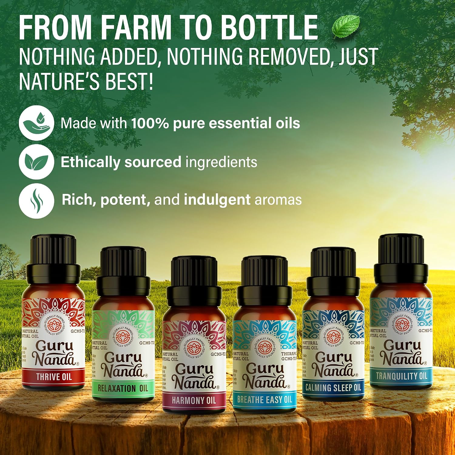 GuruNanda Essential Oil Blends – 6 Pack (10mL Each), Breathe Easy, Tranquility, Relaxation, Harmony, Calming Sleep & Thrive, Natural Aromatherapy Oils for Diffuser, Wellness & DIY - Image 3