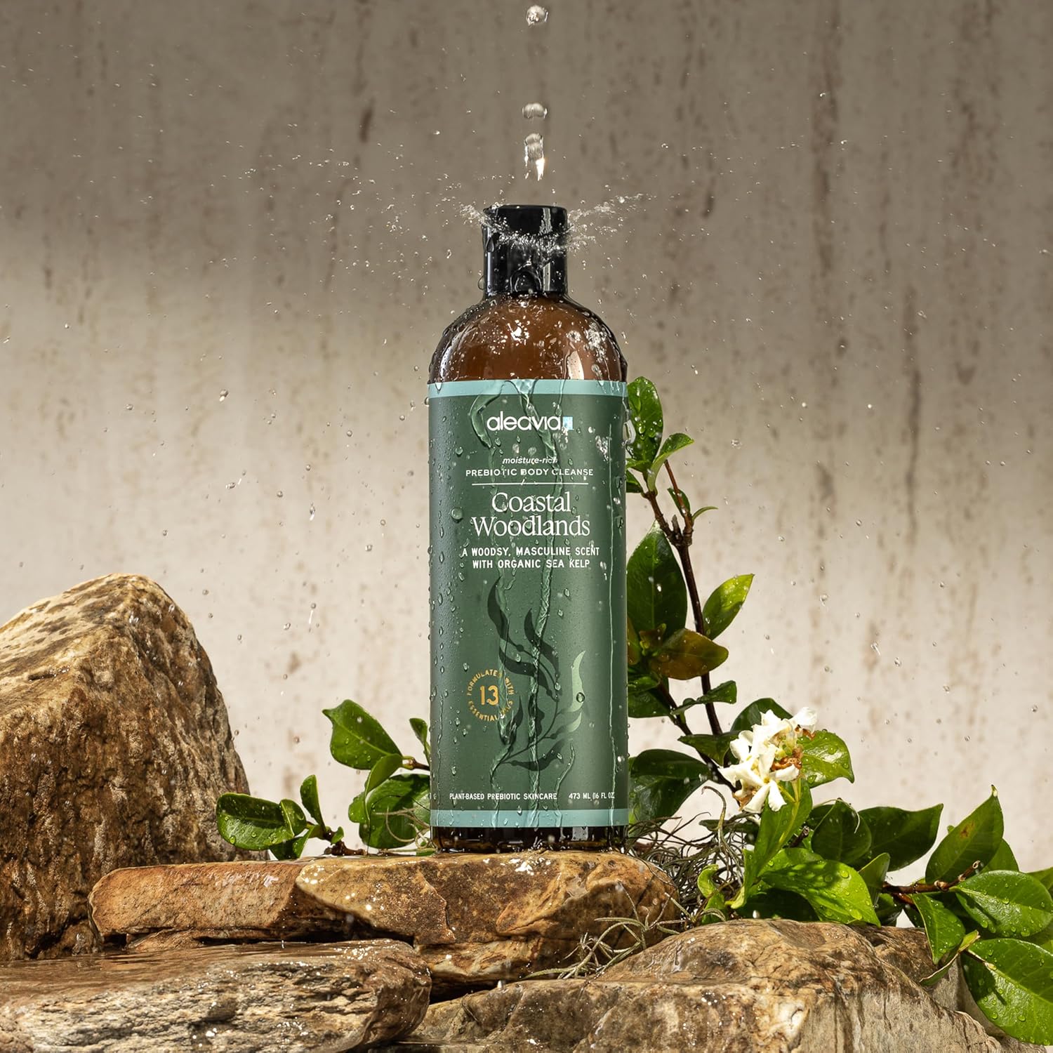 Aleavia Coastal Woodlands Mens Body Cleanse – Organic & All-Natural Prebiotic Body Wash for Men, Woodsy Notes Scented with 13 Essential Oils, – Nourish Your Skin Microbiome – 16 Oz. - Image 7