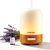 Essential Oil Diffuser, Hand Blown Glass Oil Diffuser for Bedroom | Ultrasonic Cool Mist Diffuser with 3 Mist Settings, 3 Timers and Whisper-quiet Operation Below 25dB with Includes 10ml Oil