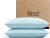 REST® Evercool®+ Cooling Pillowcases for Hot Sleepers, Standard, 2PCS | IONIC+ Silver-Infused Yarn for Hygienic Sleep, Cool-to-Touch, Silky Smooth for Hair, High-Elastic Snug Fit, Machine Washable