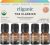Cliganic Organic Essential Oils Set (Top 5 – The Classics) – 100% Pure Natural – Aromatherapy, Candle Making – Peppermint, Lavender, Eucalyptus, Lemongrass & Orange