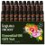 Lagunamoon Essential Oils Set, Top 20 Gift Set Oils for Diffusers, Humidifiers, Aromatherapy, Candle Making Scents, Cars & Home Products, Peppermint, Tea Tree, Lavender, Eucalyptus, Lemongrass (10mL)