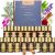 Essential Oils Set – Top 15 Scents for Diffuser, Humidifier, Skin Care, Aromatherapy, Massage, Candle & Soap Making – Fragrance Gift Set (5ml)