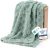 Bedsure GentleSoft Sage Green Throw Blanket for Couch – Checkered Cute Fleece Blankets, Soft Cozy Summer Throw for Bedroom Home Decor Gifts for Mom Girls, Green, 50×60 Inches